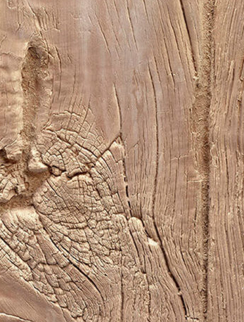 Paredes con madera hasta la mitad, ¿cómo consigo este efecto al mejor precio?